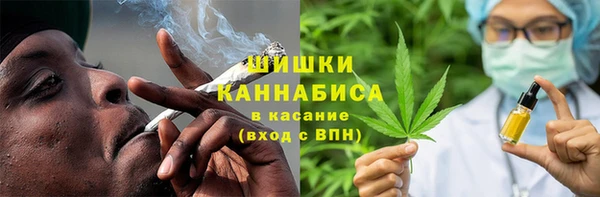 прущие грибы Михайловка