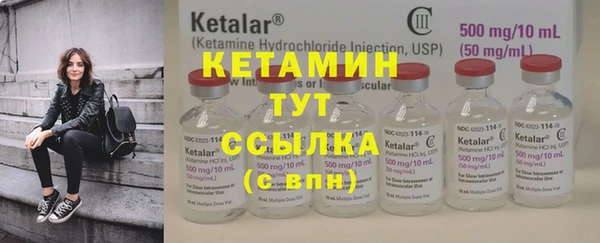 прущие грибы Михайловка