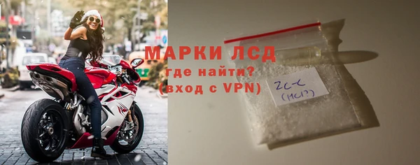 прущие грибы Михайловка