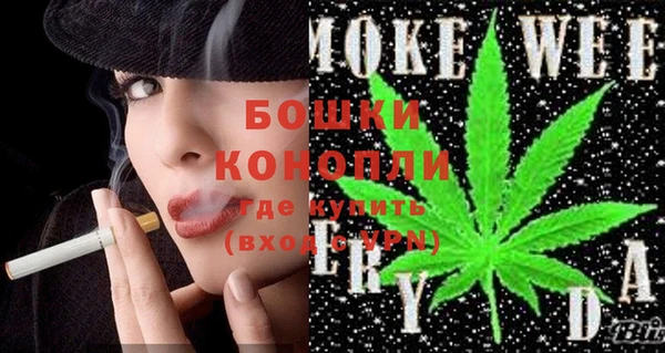 прущие грибы Михайловка
