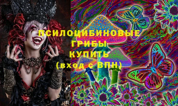 прущие грибы Михайловка