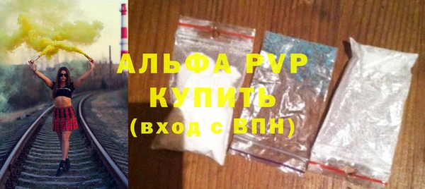 прущие грибы Михайловка
