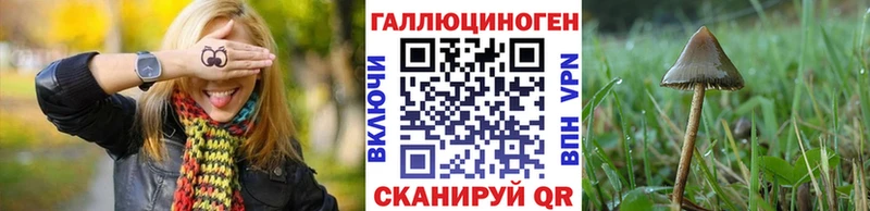 магазин продажи наркотиков  Хабаровск  Галлюциногенные грибы мухоморы 