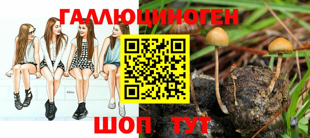 Галлюциногенные грибы Psilocybe  Вход с VPN  Псилоцибиновые грибы ЛСД  Хабаровск 